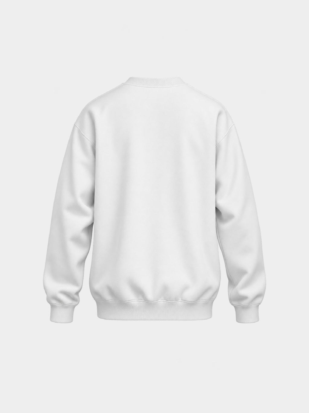 ACTIVE LONG SLEEVE Washed White — espalda