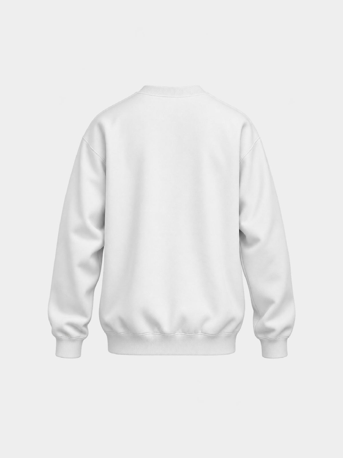 ACTIVE LONG SLEEVE Washed White — espalda